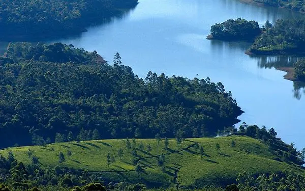 Hotel Munnar Dreams Penzion