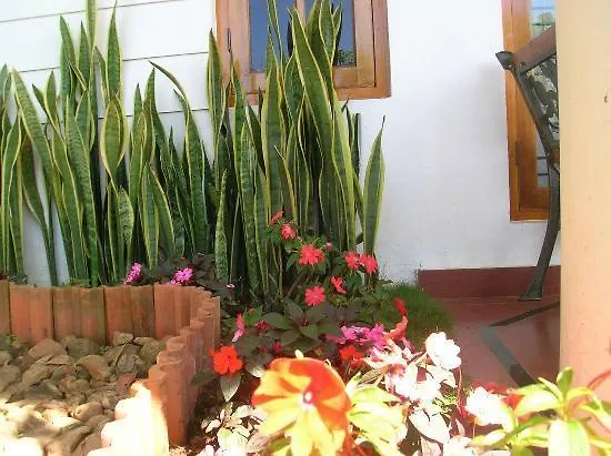 Hotel Munnar Dreams
