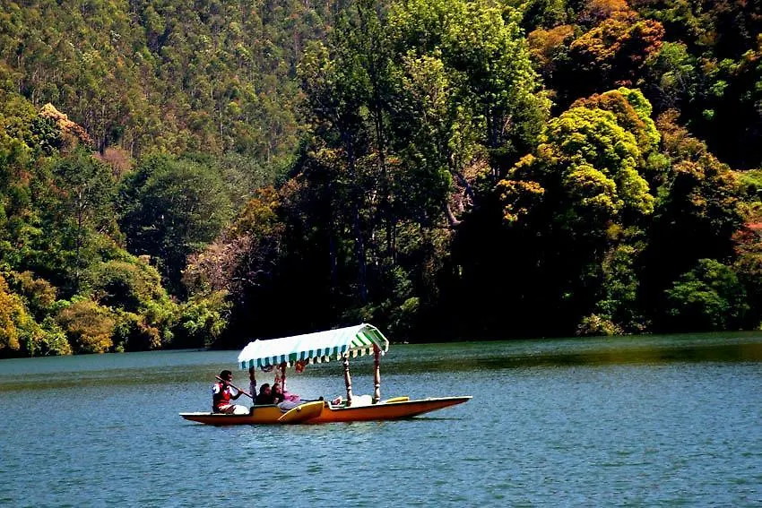 Gasthuis Munnar Dreams Hotel