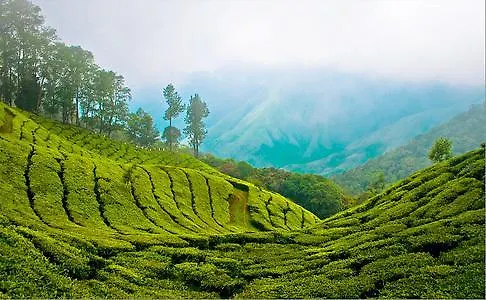 Gasthuis Munnar Dreams Hotel